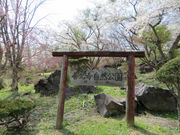 asukaさんの善光寺自然公園の投稿写真1