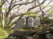 asukaさんの善光寺自然公園の投稿写真2