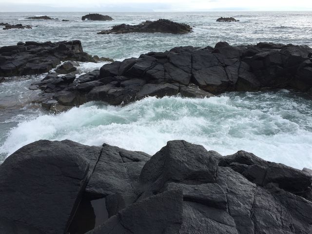 黄金岬_黄金岬海浜公園