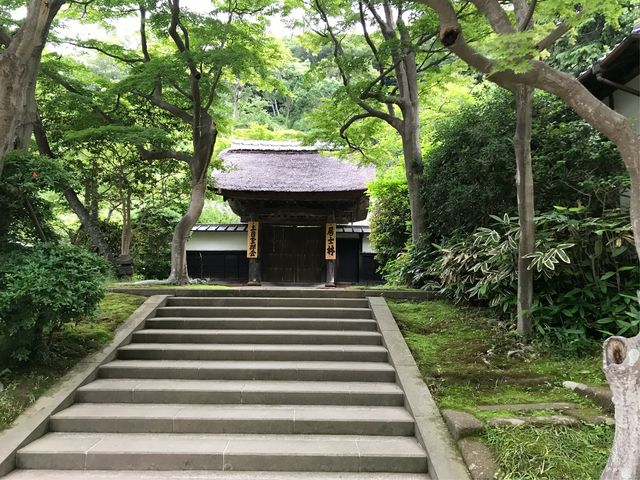 【円覚寺の居士林】_居士林(円覚寺)