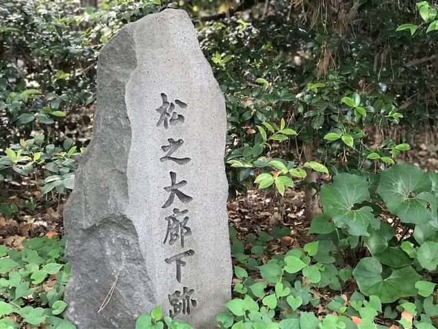 【松の廊下跡】今は草に覆われて_松の廊下跡