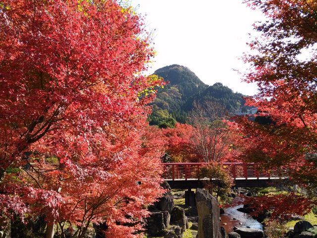 紅葉1_渓石園
