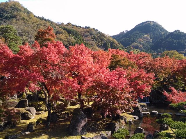 紅葉2_渓石園