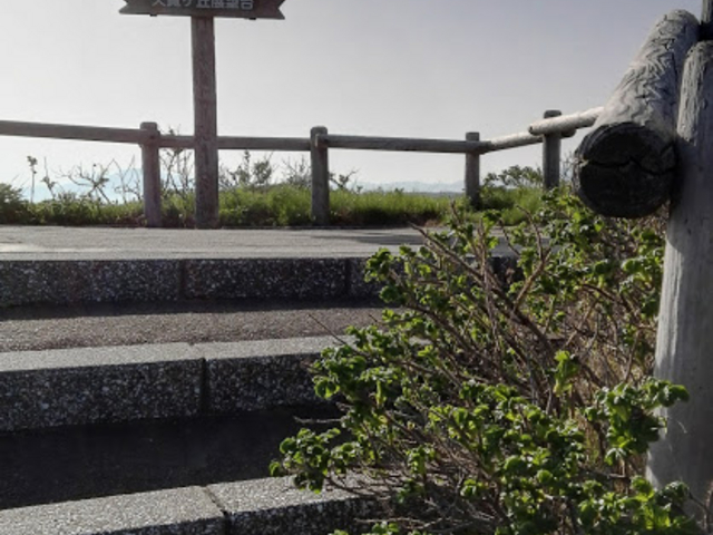 ハマナスの花は、まだ、影も形もありませんでした(笑。_小清水町のハマナス