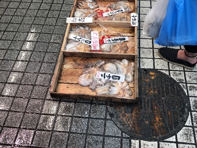 明石タコはブランド物です_明石