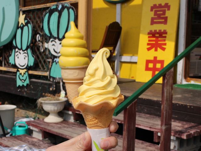 かぼちゃソフト_わっさむ かぼちゃの王国