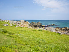 種差天然芝生地の写真1