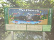 サビ猫さんの杭瀬川中島橋周辺の投稿写真5