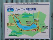 たかちゃんさんのムーニャの散歩道の投稿写真1