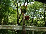 しんのすけさんの岩湧山の投稿写真1