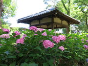 スピンコさんの藤森神社の投稿写真1