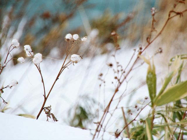 雪_祝津パノラマ展望台