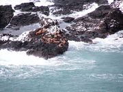 れこさんの祝津パノラマ展望台の投稿写真3