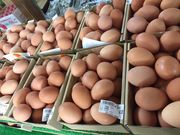 春さんの道の駅 ふれあいパーク・きみつ きみつふるさと物産館の投稿写真1