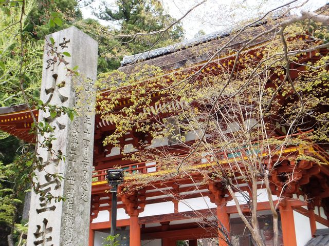 門の左前にある休憩所より望む。_室生寺仁王門