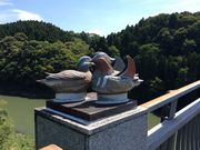 vits300さんのおしどり橋の投稿写真1