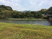 vits300さんの川内川の投稿写真1