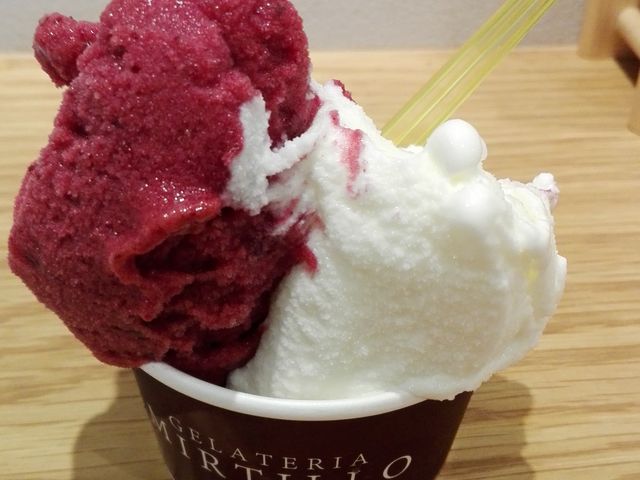 GELATERIA MIRTILLO