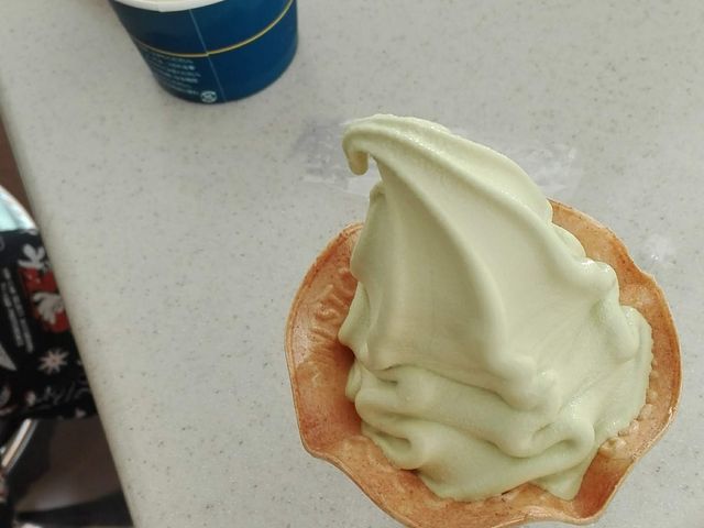 メロン味もなかなかでした_ミニストップ 前橋交通公園前店
