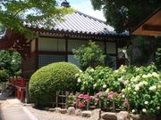 まこさんの久米寺のあじさいの投稿写真1