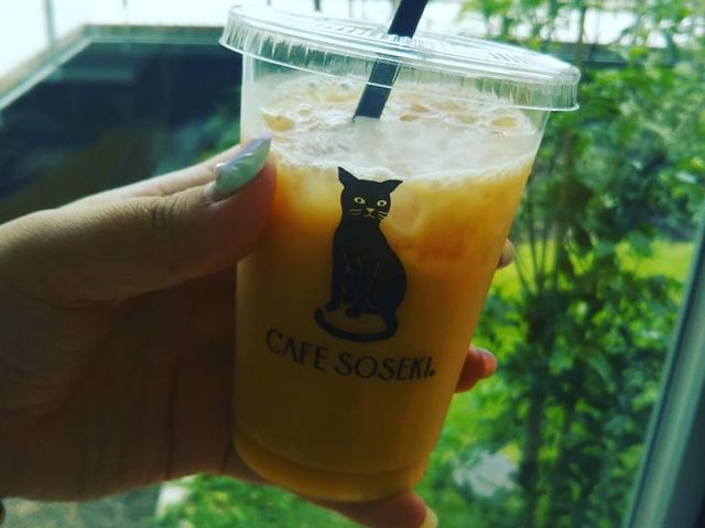 アイスティーにミルクを入れました!_CAFE SOSEKI (カフェ・ソウセキ)