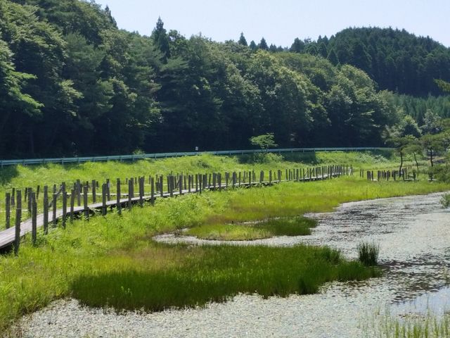 湿原全体_樫原湿原