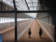 マイBOOさんのJRA日高育成牧場の投稿写真1