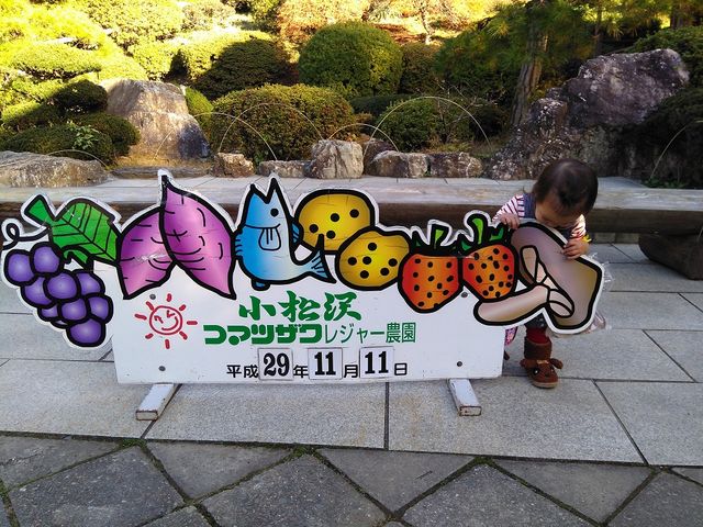 季節によってとれるものも違うので、何度行っても楽しめるのでは。_小松沢レジャー農園