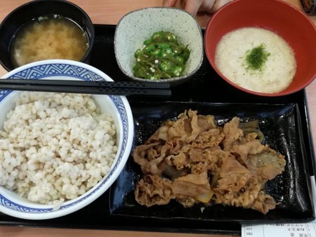 おいしそうでしょ?_吉野家1号線安城店