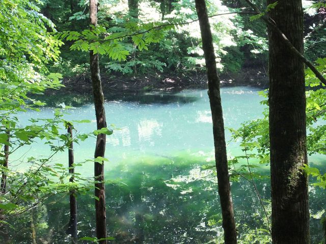 miyosikoさんの津軽十二湖自然休養林の投稿写真1