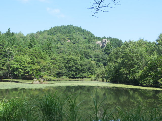 鶴ケ原の池