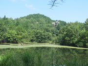 花ちゃんさんの鶴ケ原の池の投稿写真1
