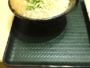 たぴおかさんのはなまるうどん 横浜西口パルナード店の投稿写真1