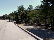しちのすけさんの二見浦公園の投稿写真1