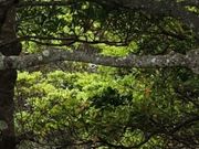 うみさんの落合ダム親水広場の投稿写真1