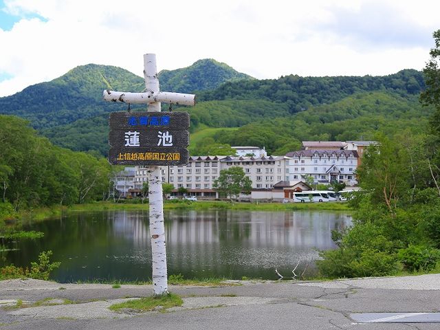 景観_蓮池