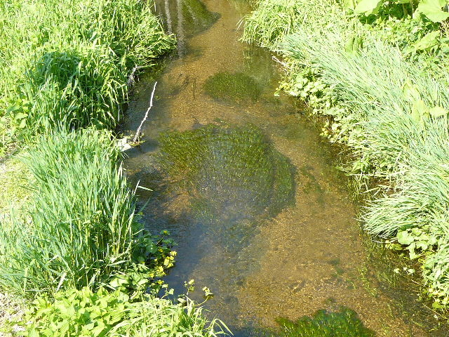 u-minさんの正美公園の投稿写真1