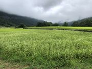 しおぴーさんの秘境秋山郷(新潟県津南町)の投稿写真1