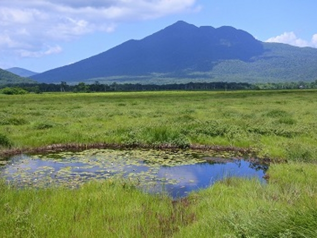 尾瀬ヶ原の池塘と燧ケ岳_尾瀬ケ原