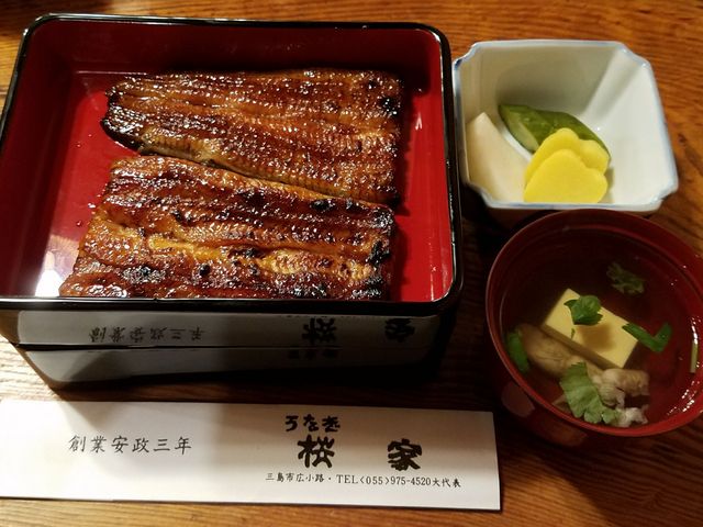 鰻とライス_桜家
