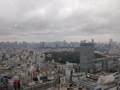 SOMPO美術館の写真1