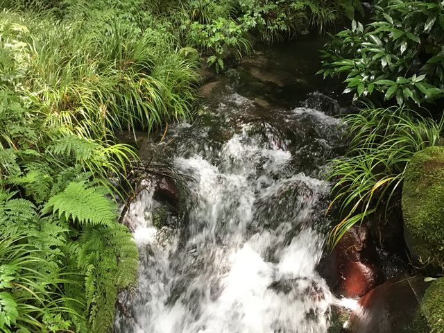様子_箱島湧水