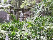 レイさんの織田信長墓碑の投稿写真1