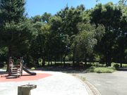ひーちゃんさんの戸山公園の投稿写真3