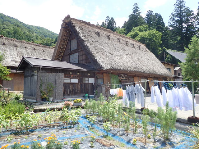 白川村