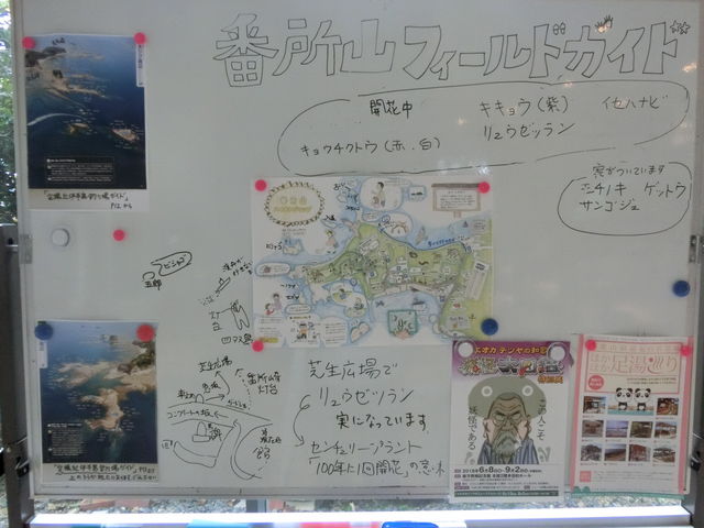 南方熊楠記念館