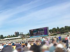 日本中央競馬会札幌競馬場の写真1