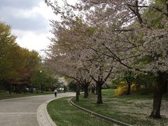 中島公園の写真1