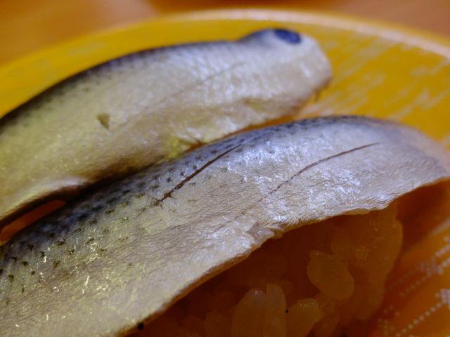 こはだ_かっぱ寿司 能代店