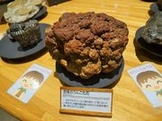 雷ちゃんさんの名古屋市科学館の投稿写真2